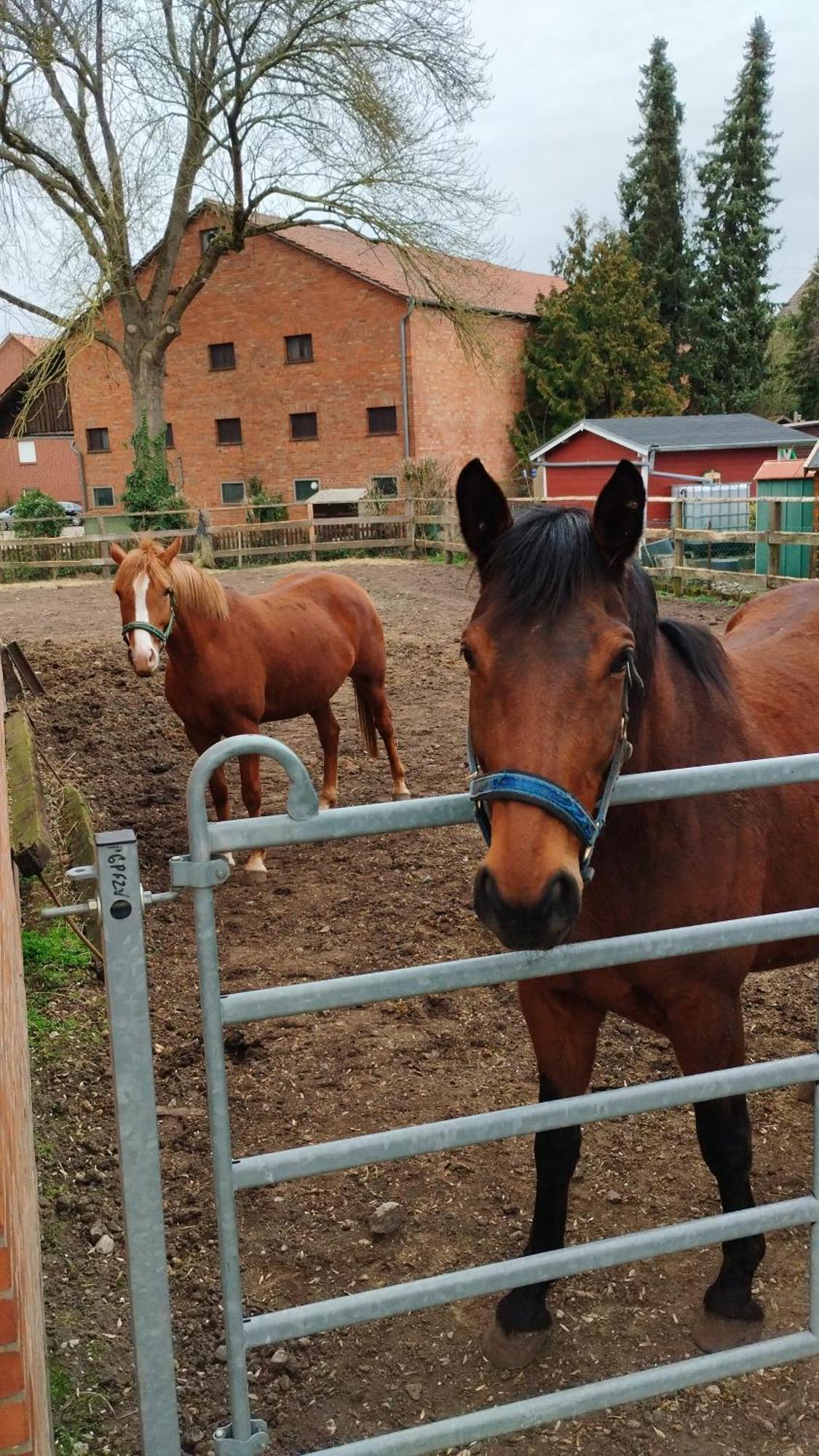 Wohnen Auf Dem Bauernhof Apartment Laatzen Luaran gambar